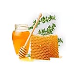 معرفی و بررسی عسل های گیاهی