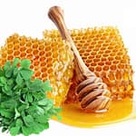 عسل یونجه چگونه تولید می‌شود؟ - بررسی ویژگی‌ها و خواص عسل یونجه