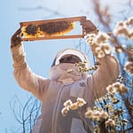 وسایل زنبورداری چه تاثیری بر کیفیت عسل دارند؟